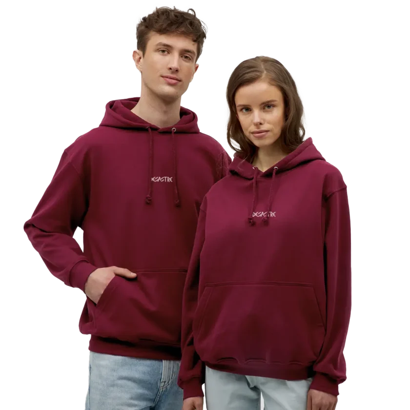 desastre sweat bordeaux twitch français ecostream youtube streamer fr1ngue